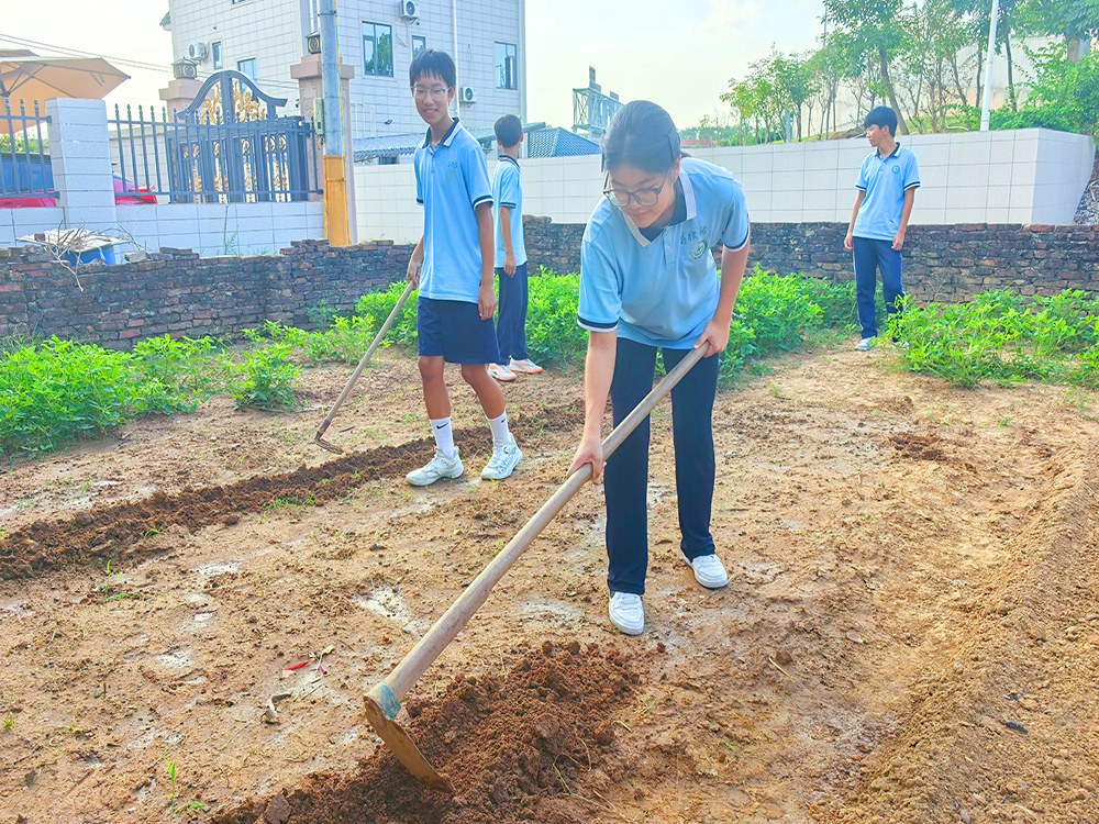 江门正规孩子逆反期教育学校具体位置与心理成长培育选择指南